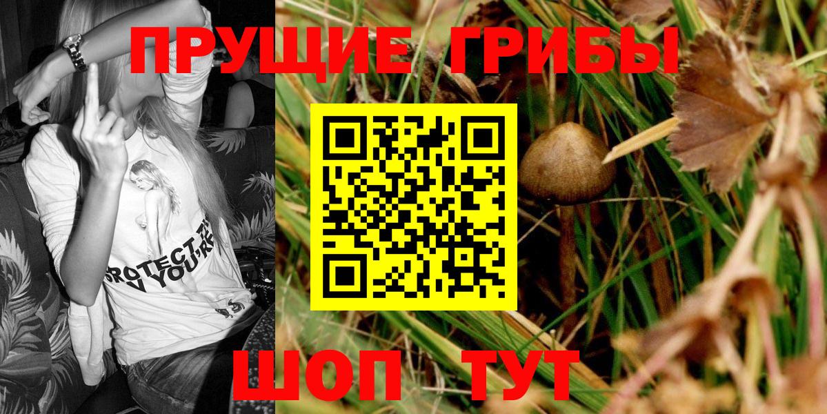 Каменск-Уральский  Псилоцибиновые грибы MAGIC MUSHROOMS  Вход с VPN 